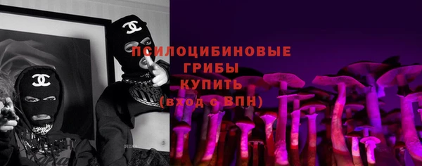 молекула духа Абинск