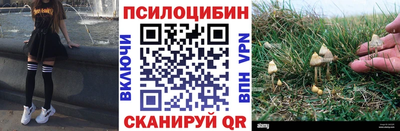 Галлюциногенные грибы мицелий  кракен маркетплейс  Кадников 